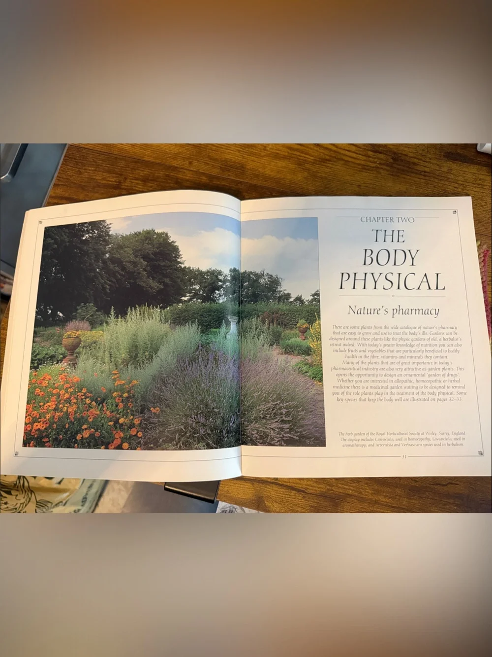 The Healing Garden (1995) Natural Body & Senses softcover